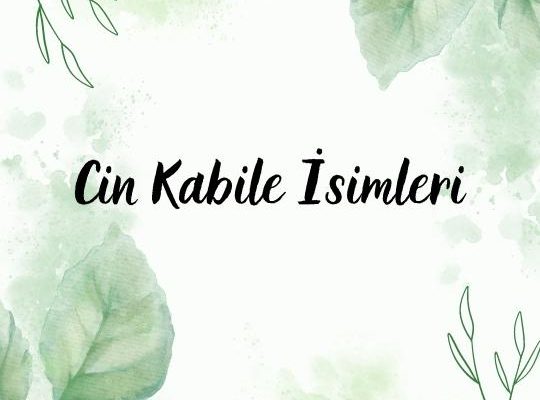 Cin Kabile İsimleri